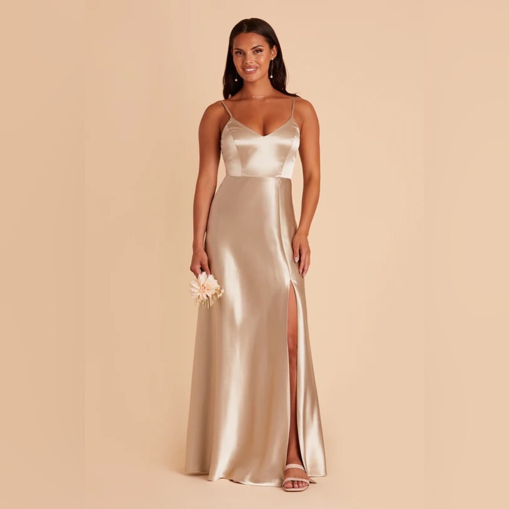 Birdy Grey Shiny Satin Jay Dress